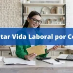 Solicitar Vida Laboral por Correo