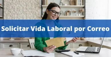 Solicitar Vida Laboral por Correo