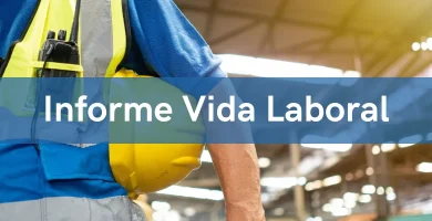 informe vida laboral